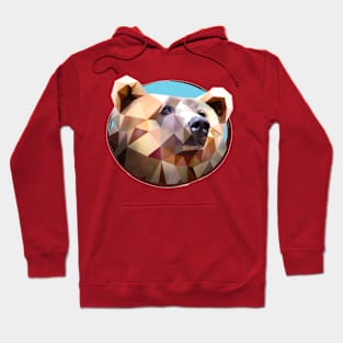 Grizzly Bear Hoodie